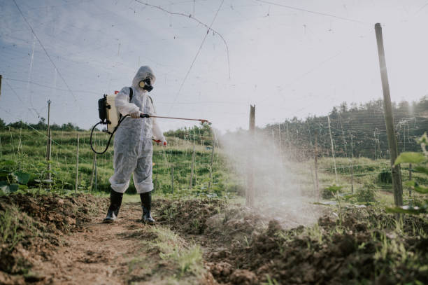 Best Mosquito Control Services  in Greencastle, IN