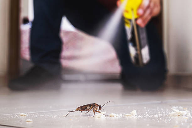 Best Pest Control Treatment  in Greencastle, IN