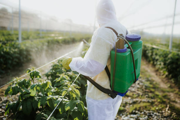 Best Affordable Pest Control Services  in Greencastle, IN